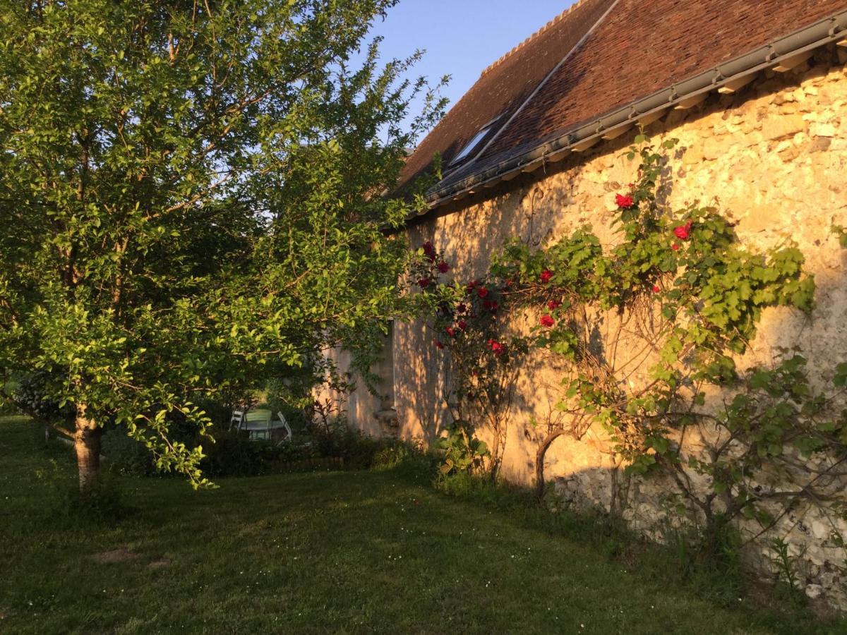 Chambres D'Hotes La Ferme Du Grand Launay Semblancay ภายนอก รูปภาพ