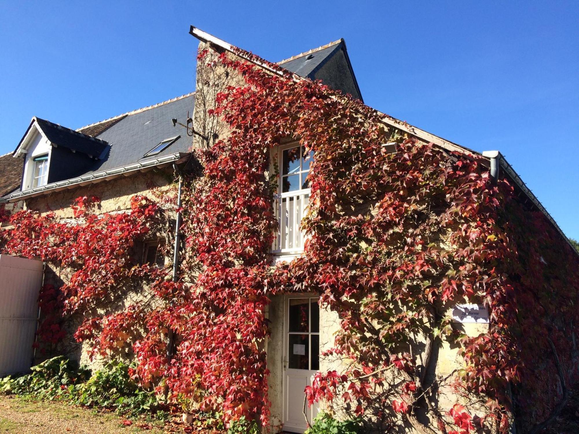 Chambres D'Hotes La Ferme Du Grand Launay Semblancay ภายนอก รูปภาพ